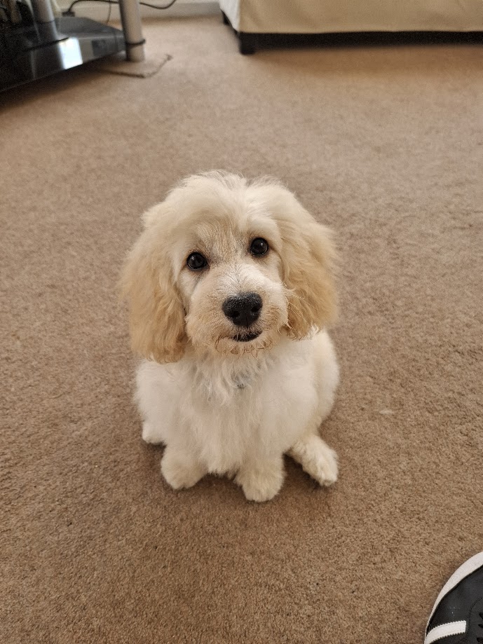 Rory